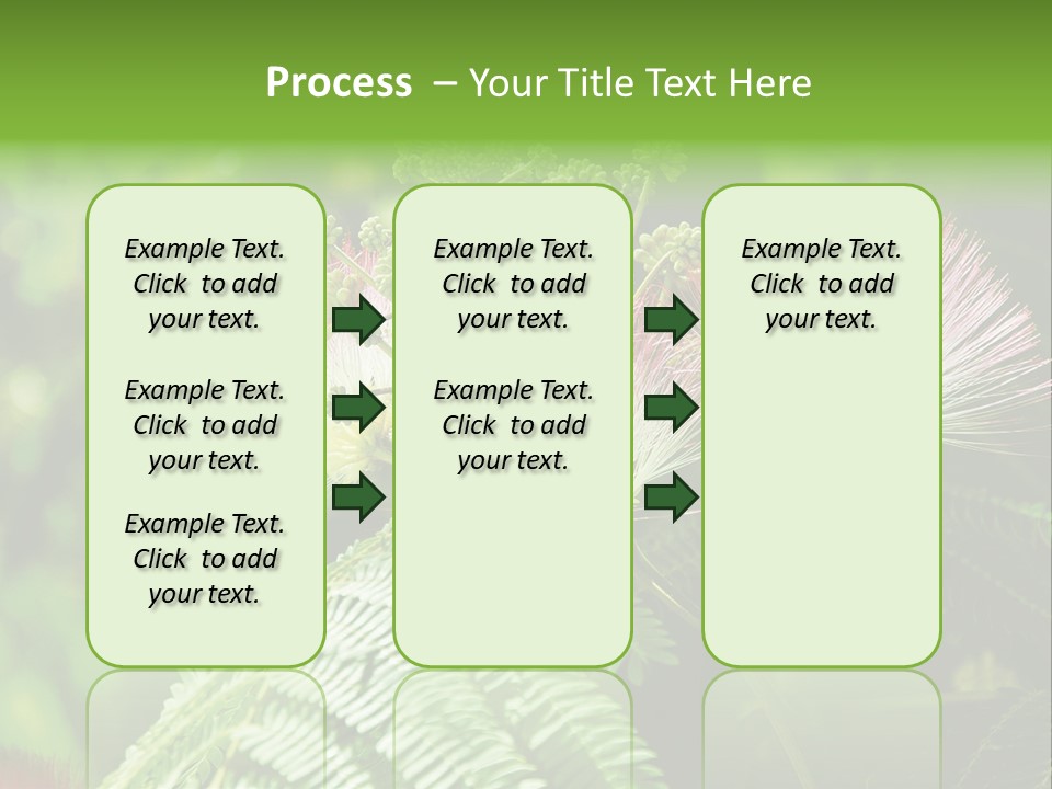 Majestic Acacia Silk PowerPoint Template