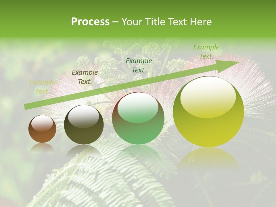 Majestic Acacia Silk PowerPoint Template