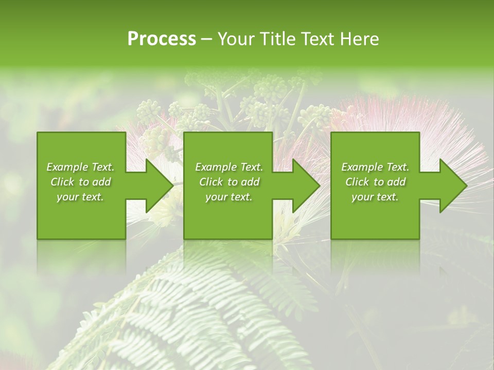 Majestic Acacia Silk PowerPoint Template