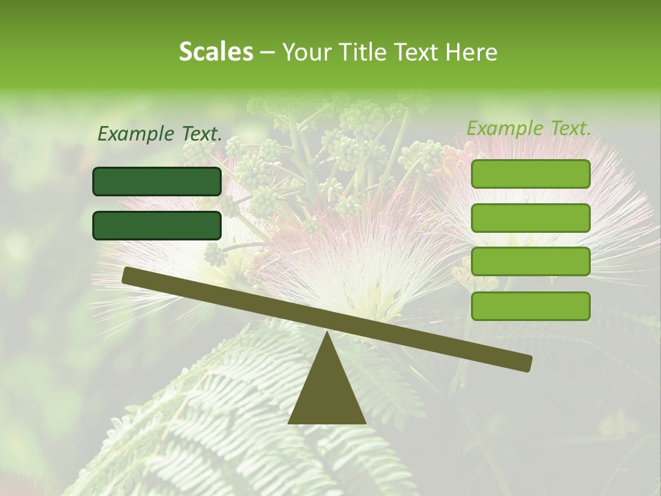 Majestic Acacia Silk PowerPoint Template