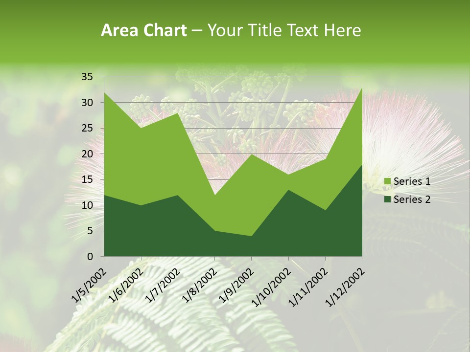 Majestic Acacia Silk PowerPoint Template