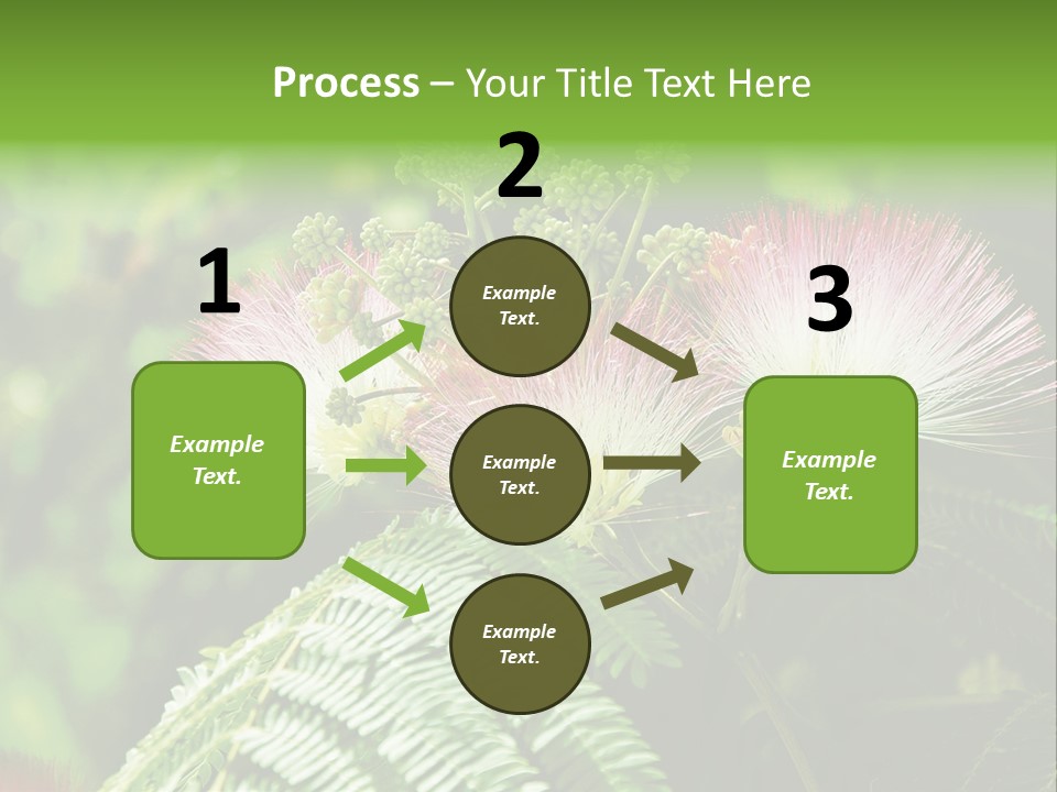 Majestic Acacia Silk PowerPoint Template