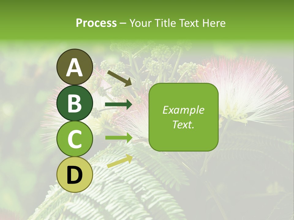 Majestic Acacia Silk PowerPoint Template