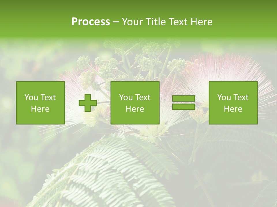 Majestic Acacia Silk PowerPoint Template