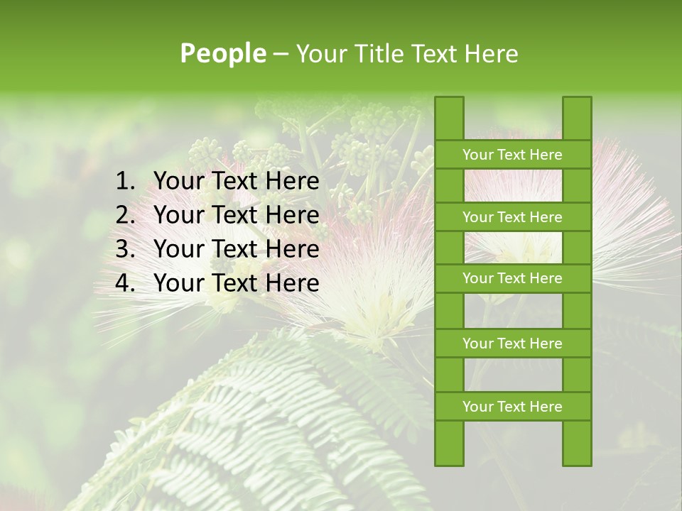 Majestic Acacia Silk PowerPoint Template