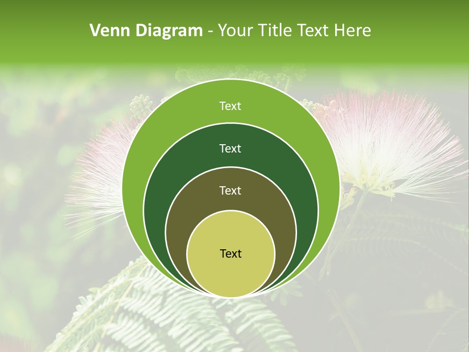 Majestic Acacia Silk PowerPoint Template