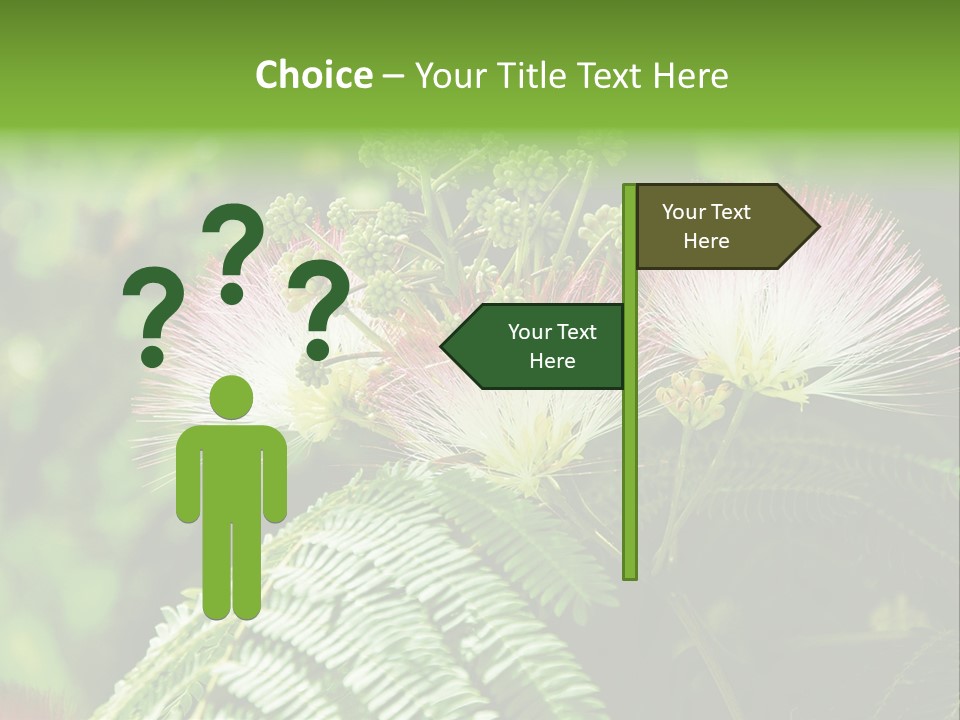 Majestic Acacia Silk PowerPoint Template