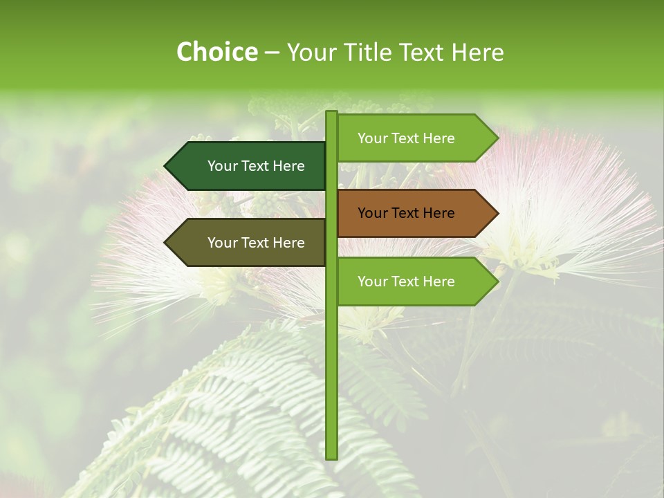 Majestic Acacia Silk PowerPoint Template