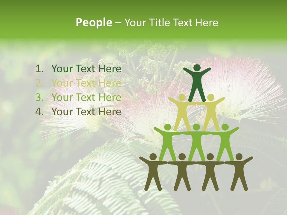 Majestic Acacia Silk PowerPoint Template