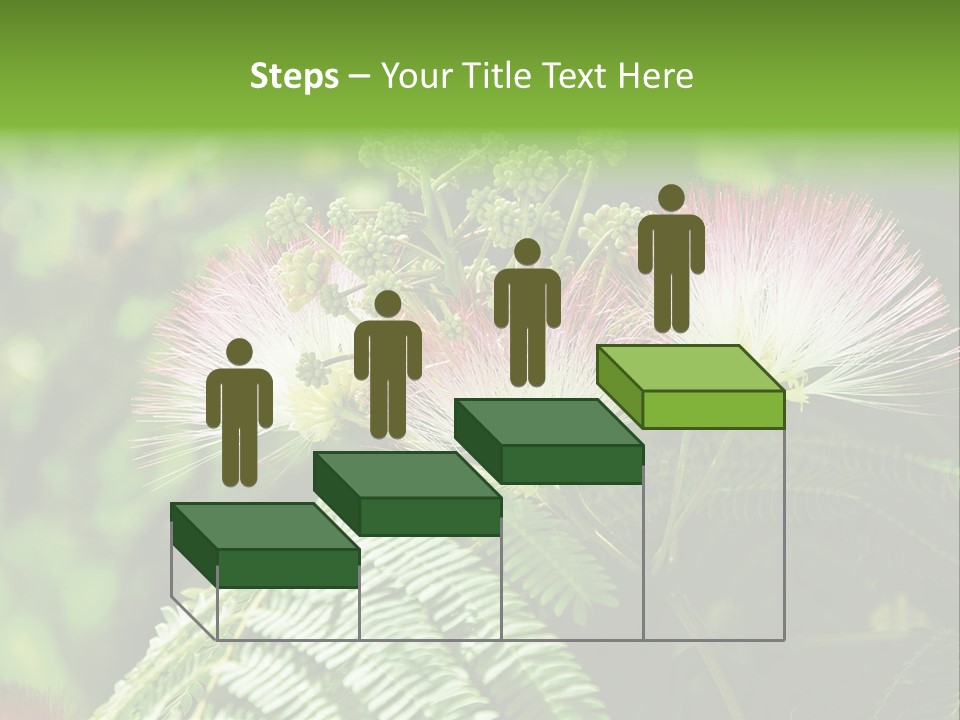 Majestic Acacia Silk PowerPoint Template