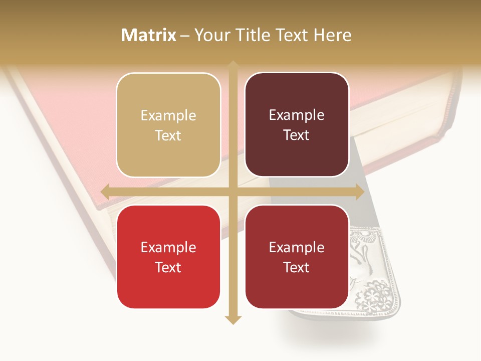 Nobody Novel Education PowerPoint Template