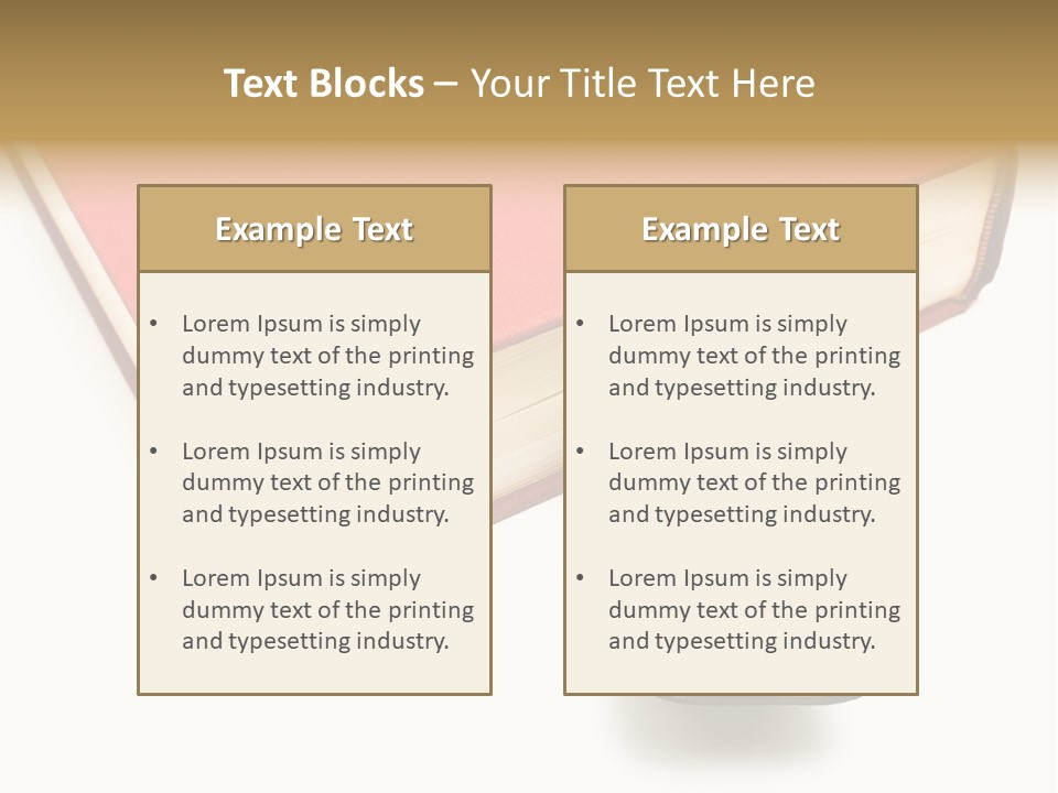 Nobody Novel Education PowerPoint Template