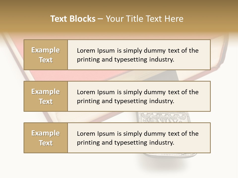 Nobody Novel Education PowerPoint Template
