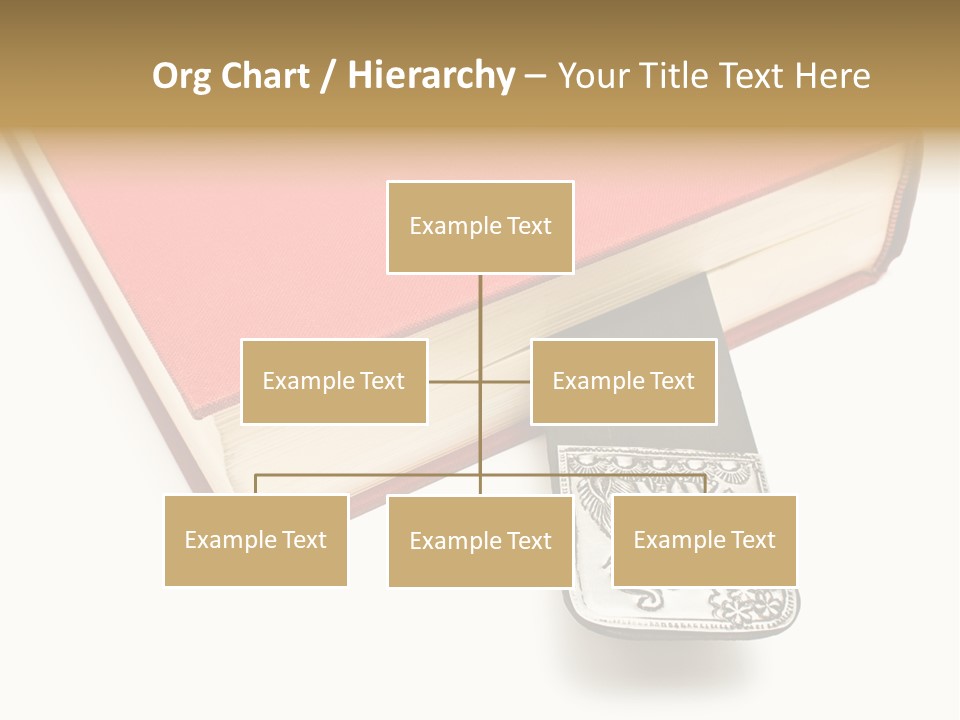 Nobody Novel Education PowerPoint Template