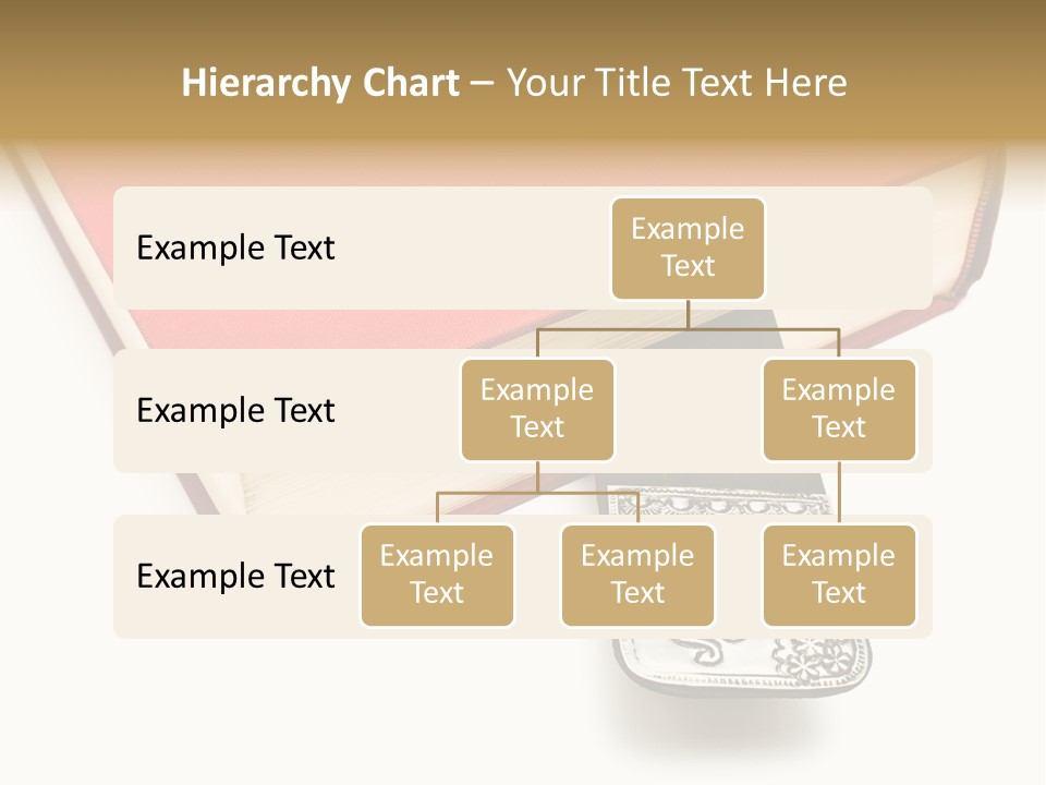 Nobody Novel Education PowerPoint Template