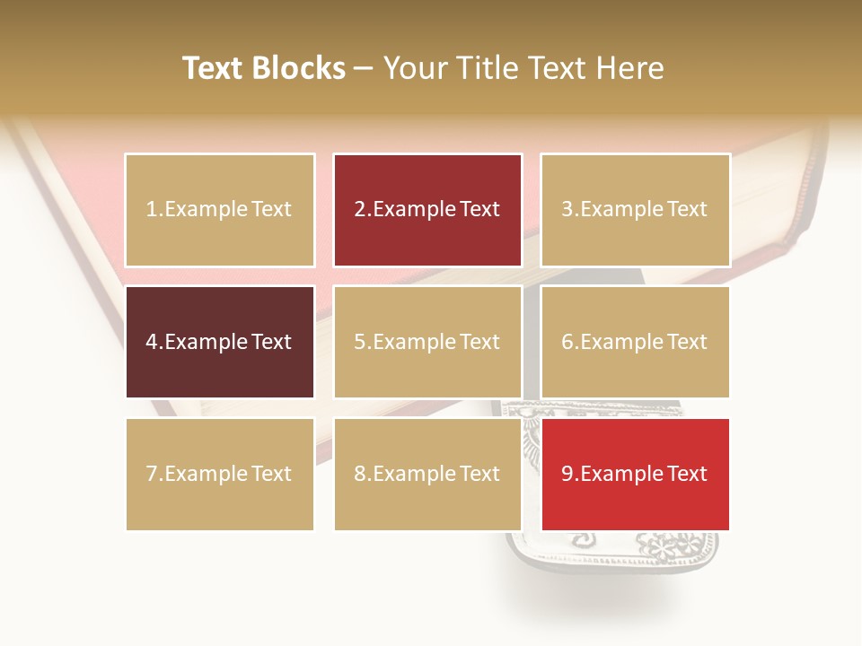 Nobody Novel Education PowerPoint Template