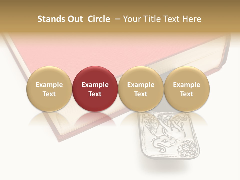 Nobody Novel Education PowerPoint Template