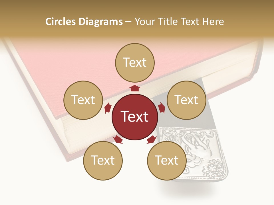 Nobody Novel Education PowerPoint Template