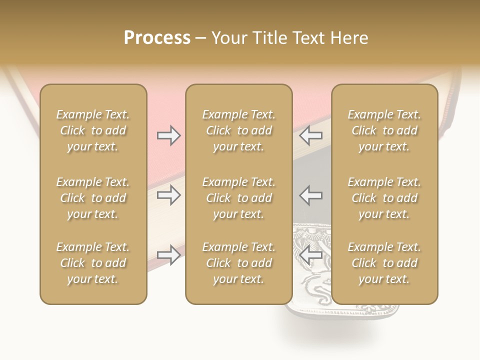 Nobody Novel Education PowerPoint Template
