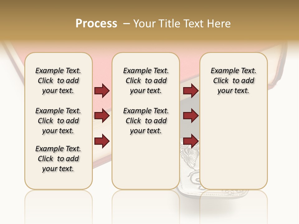 Nobody Novel Education PowerPoint Template