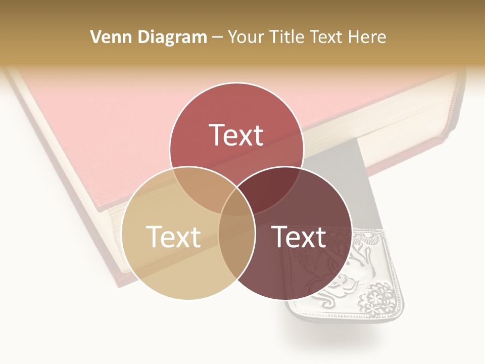 Nobody Novel Education PowerPoint Template