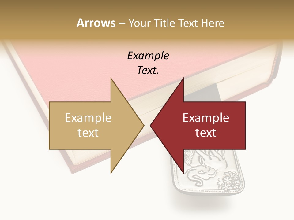 Nobody Novel Education PowerPoint Template