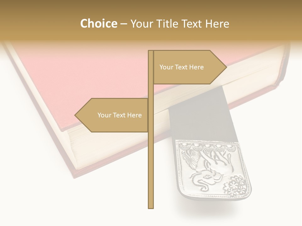 Nobody Novel Education PowerPoint Template