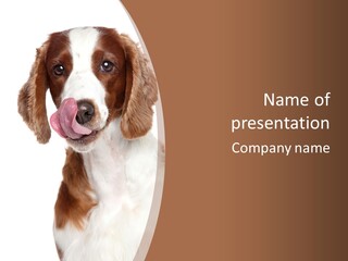 Hunter Intelligent Furry PowerPoint Template