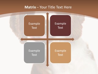 Hunter Intelligent Furry PowerPoint Template