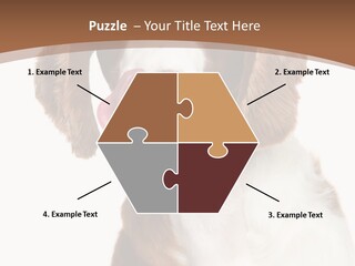 Hunter Intelligent Furry PowerPoint Template