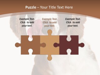 Hunter Intelligent Furry PowerPoint Template