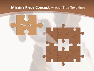 Hunter Intelligent Furry PowerPoint Template