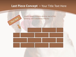 Hunter Intelligent Furry PowerPoint Template