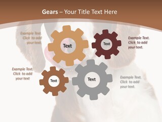 Hunter Intelligent Furry PowerPoint Template