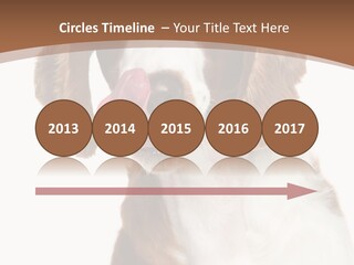 Hunter Intelligent Furry PowerPoint Template