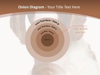 Hunter Intelligent Furry PowerPoint Template