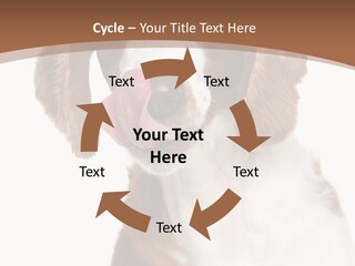 Hunter Intelligent Furry PowerPoint Template