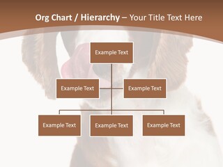 Hunter Intelligent Furry PowerPoint Template