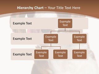 Hunter Intelligent Furry PowerPoint Template