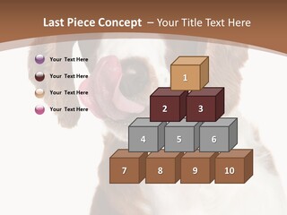 Hunter Intelligent Furry PowerPoint Template