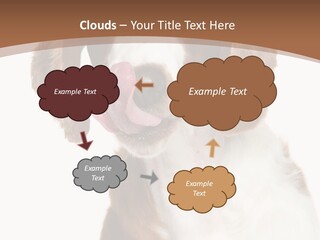 Hunter Intelligent Furry PowerPoint Template