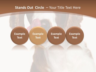 Hunter Intelligent Furry PowerPoint Template