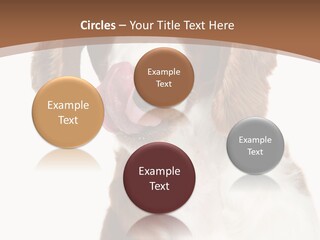 Hunter Intelligent Furry PowerPoint Template