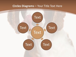 Hunter Intelligent Furry PowerPoint Template