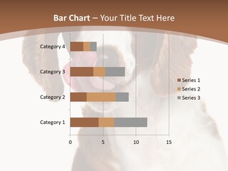 Hunter Intelligent Furry PowerPoint Template