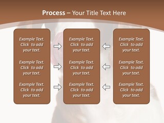 Hunter Intelligent Furry PowerPoint Template