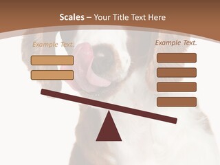 Hunter Intelligent Furry PowerPoint Template