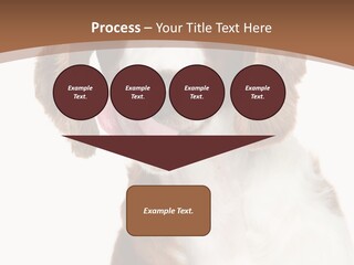 Hunter Intelligent Furry PowerPoint Template