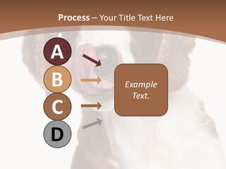 Hunter Intelligent Furry PowerPoint Template