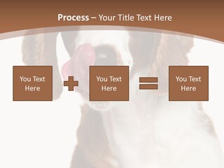 Hunter Intelligent Furry PowerPoint Template